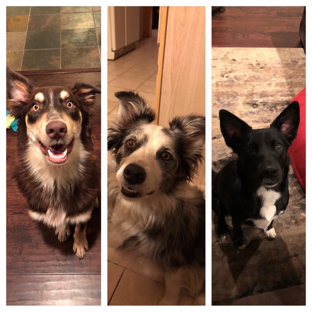 Meet your Posher, Danielle